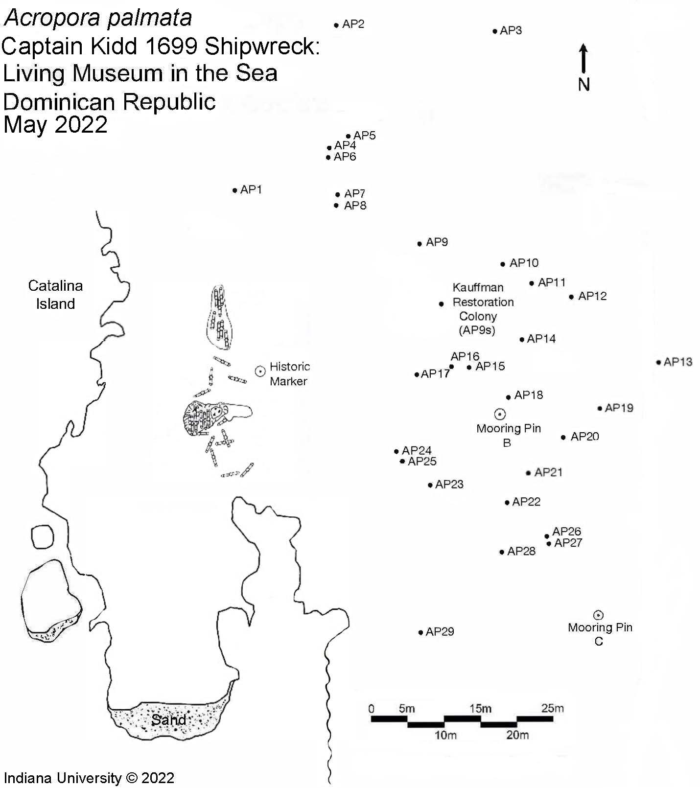 Kidd Acropora Palmata Site Map