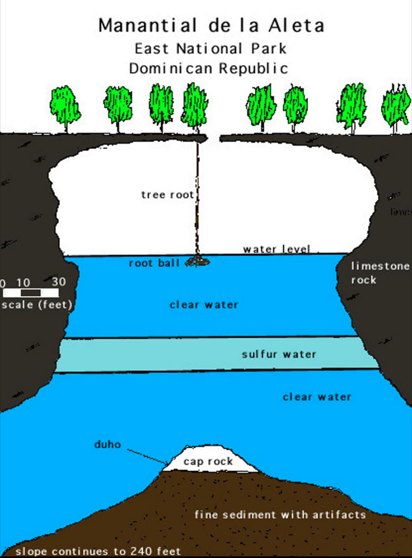 La-Aleta-cross-section.png